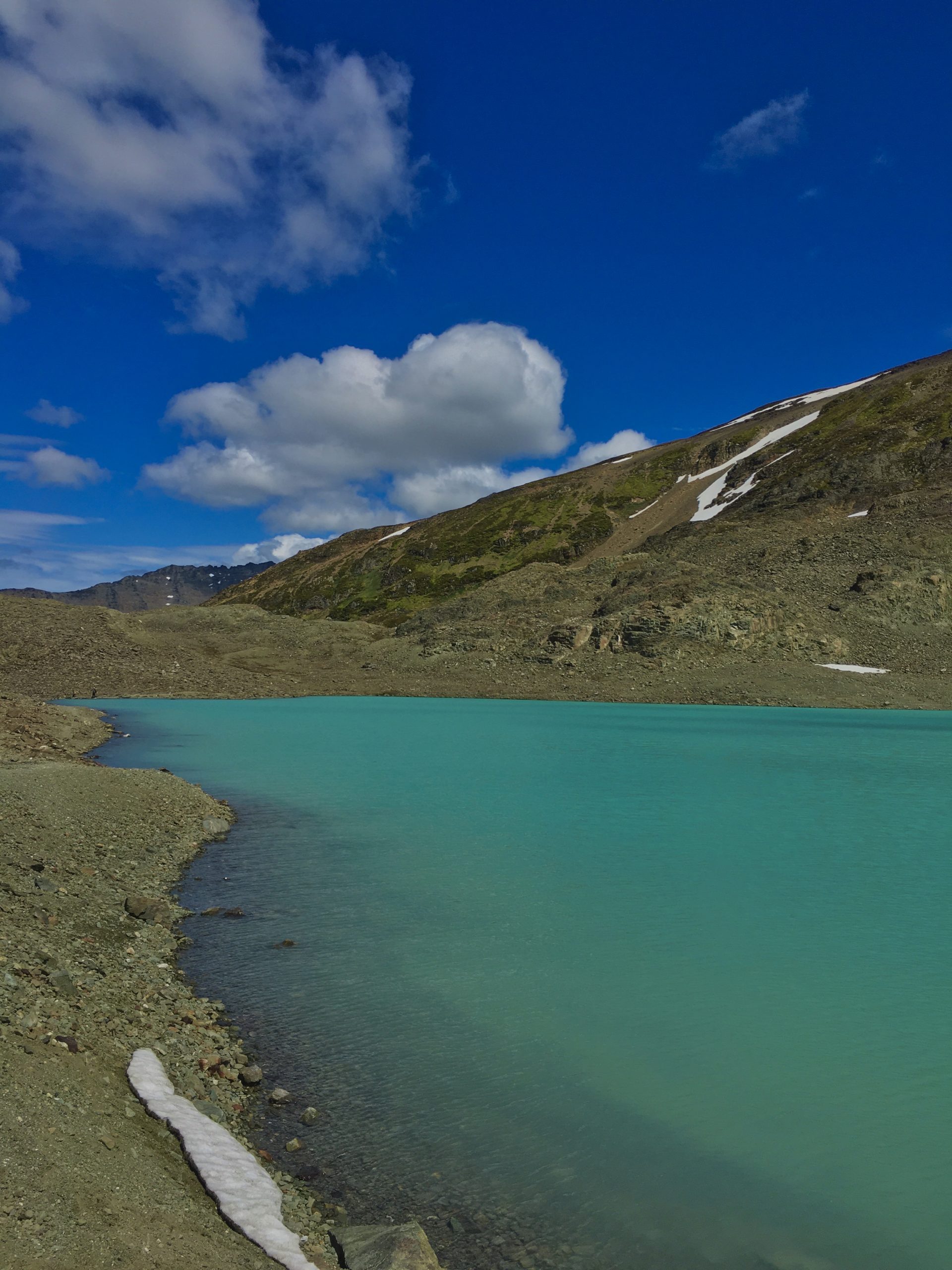 Glaciar Vinciguerra y Laguna de los Témpanos